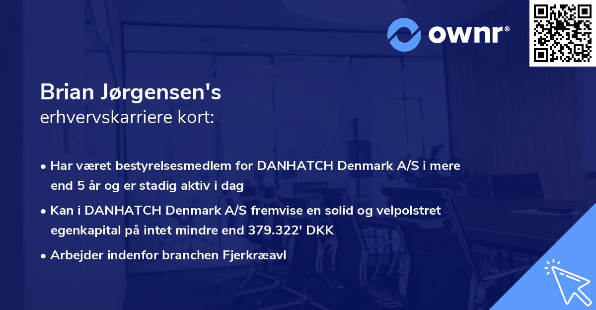 Brian Jørgensen's erhvervskarriere kort