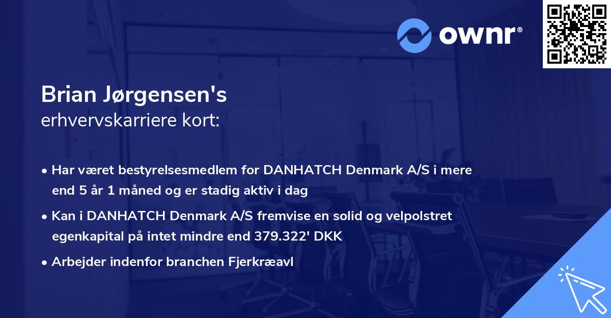 Brian Jørgensen's erhvervskarriere kort