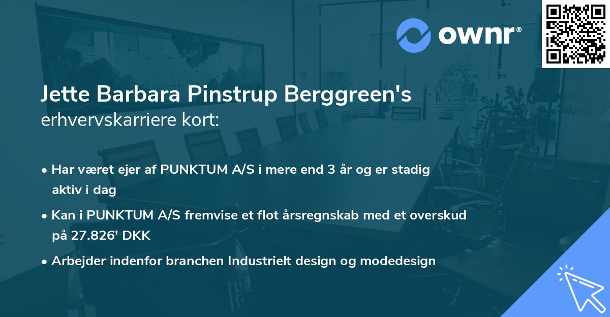 Jette Barbara Pinstrup Berggreen's erhvervskarriere kort