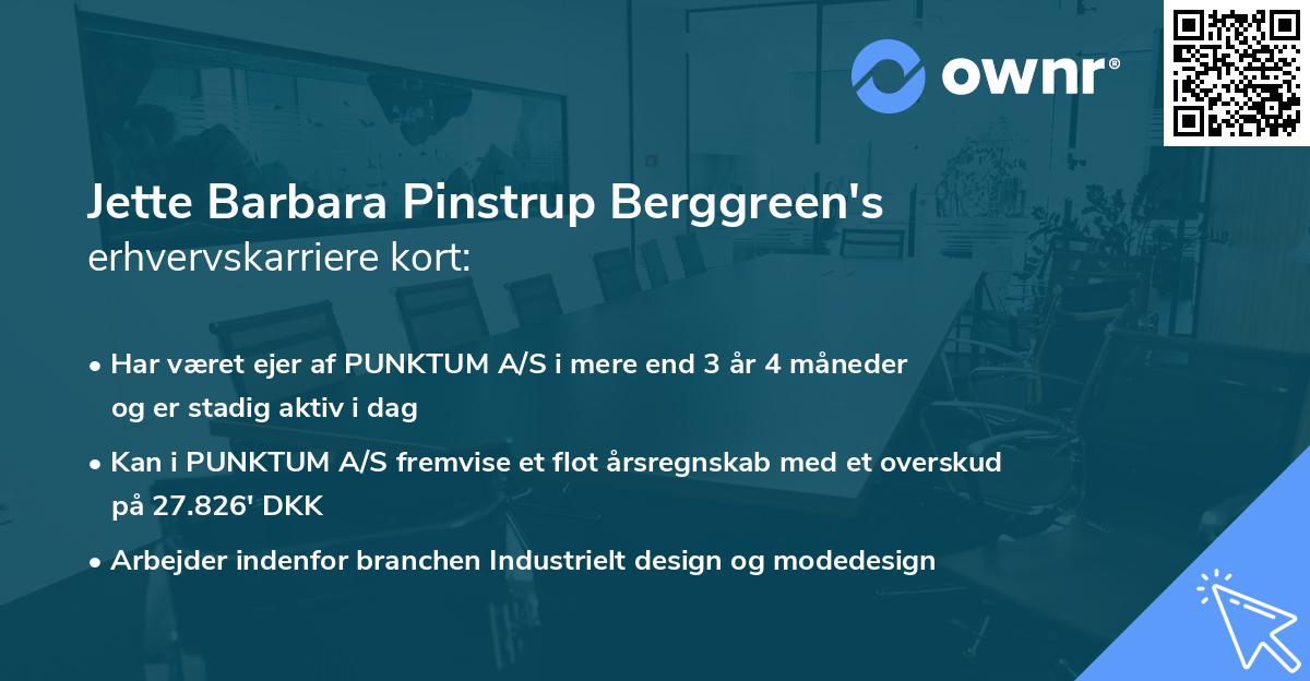 Jette Barbara Pinstrup Berggreen's erhvervskarriere kort