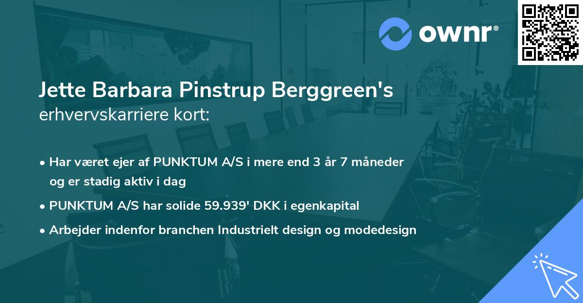 Jette Barbara Pinstrup Berggreen's erhvervskarriere kort