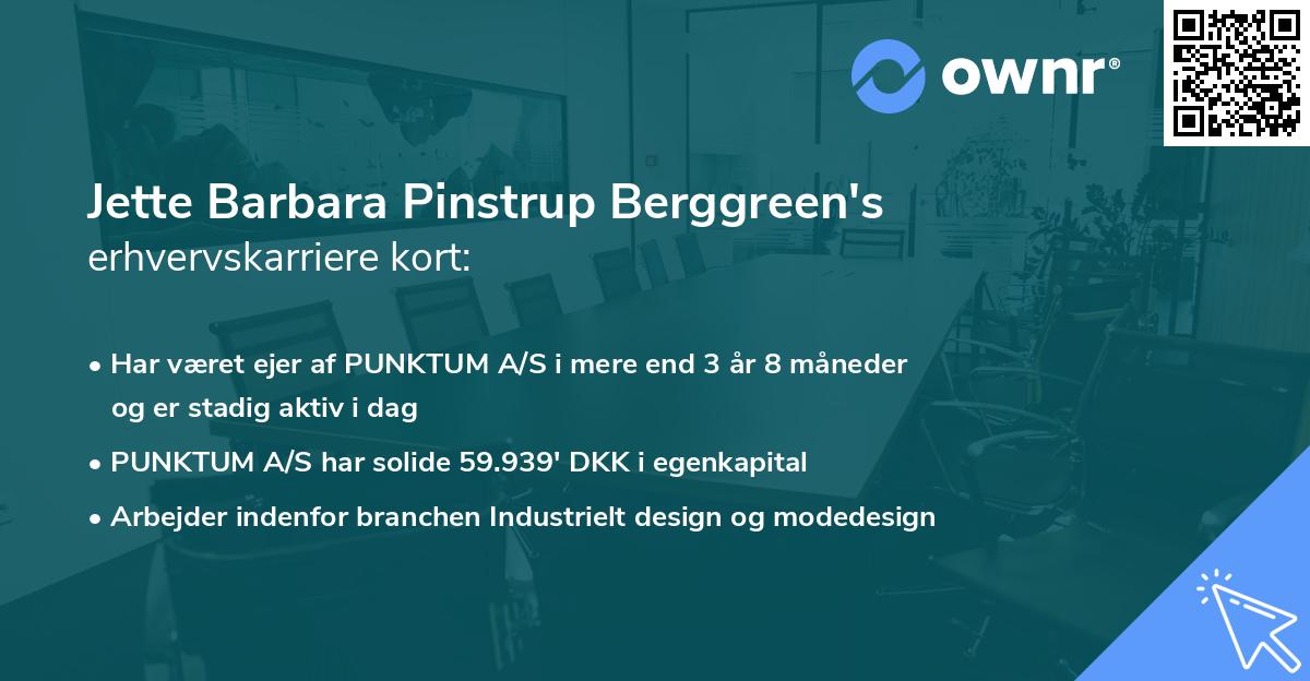 Jette Barbara Pinstrup Berggreen's erhvervskarriere kort