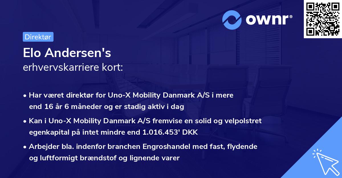 Elo Andersen's erhvervskarriere kort