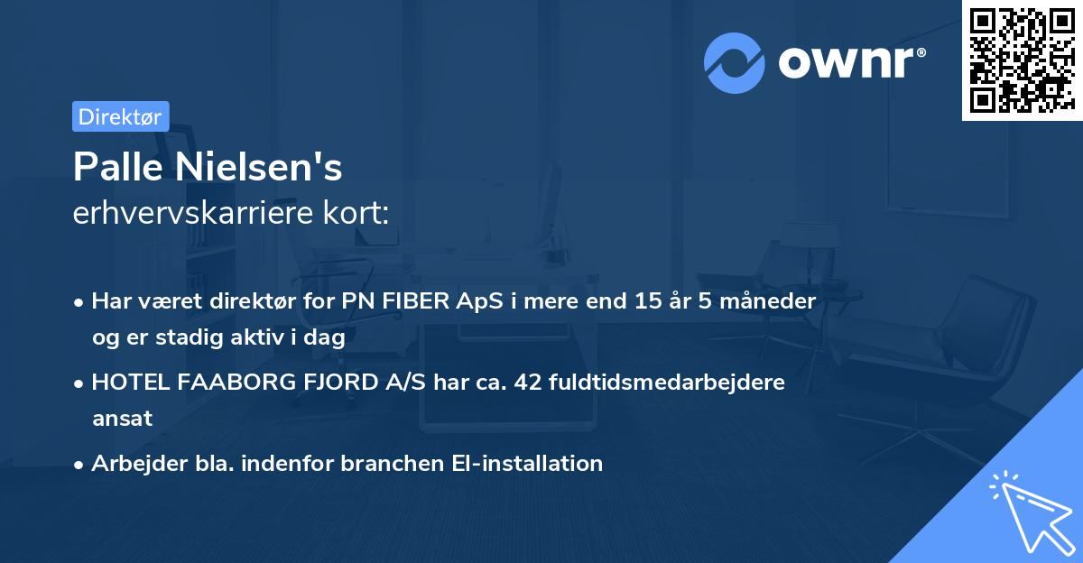 Palle Nielsen's erhvervskarriere kort