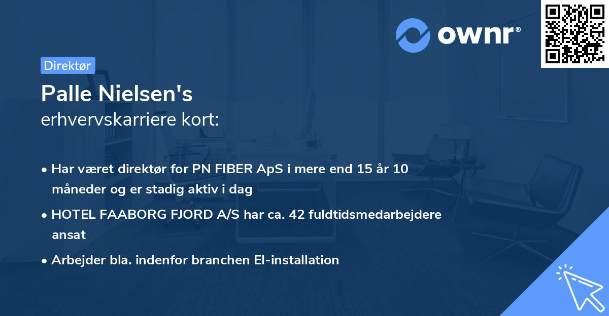 Palle Nielsen's erhvervskarriere kort