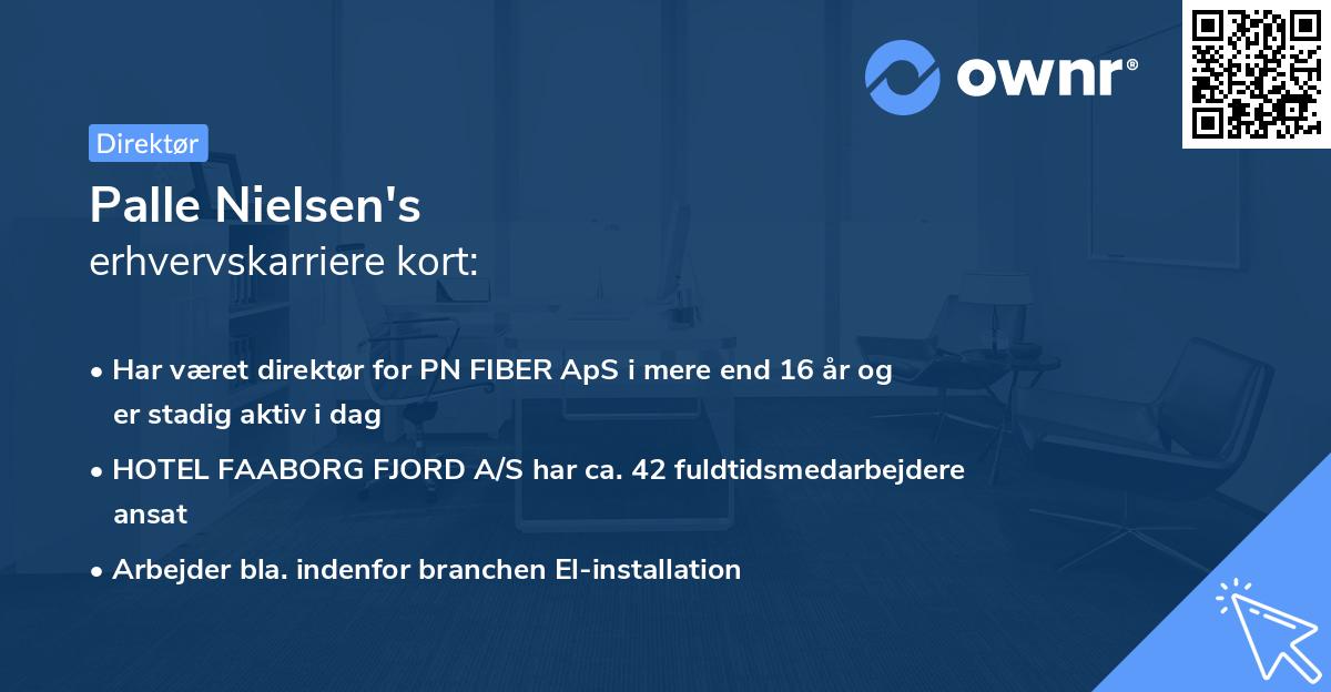 Palle Nielsen's erhvervskarriere kort