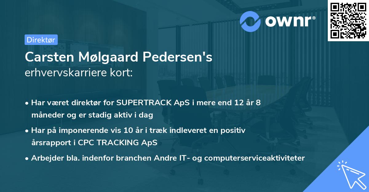 Carsten Mølgaard Pedersen's erhvervskarriere kort