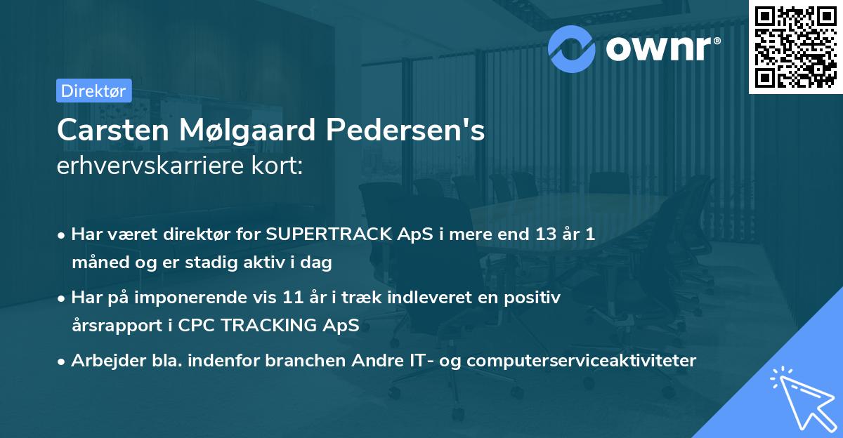 Carsten Mølgaard Pedersen's erhvervskarriere kort