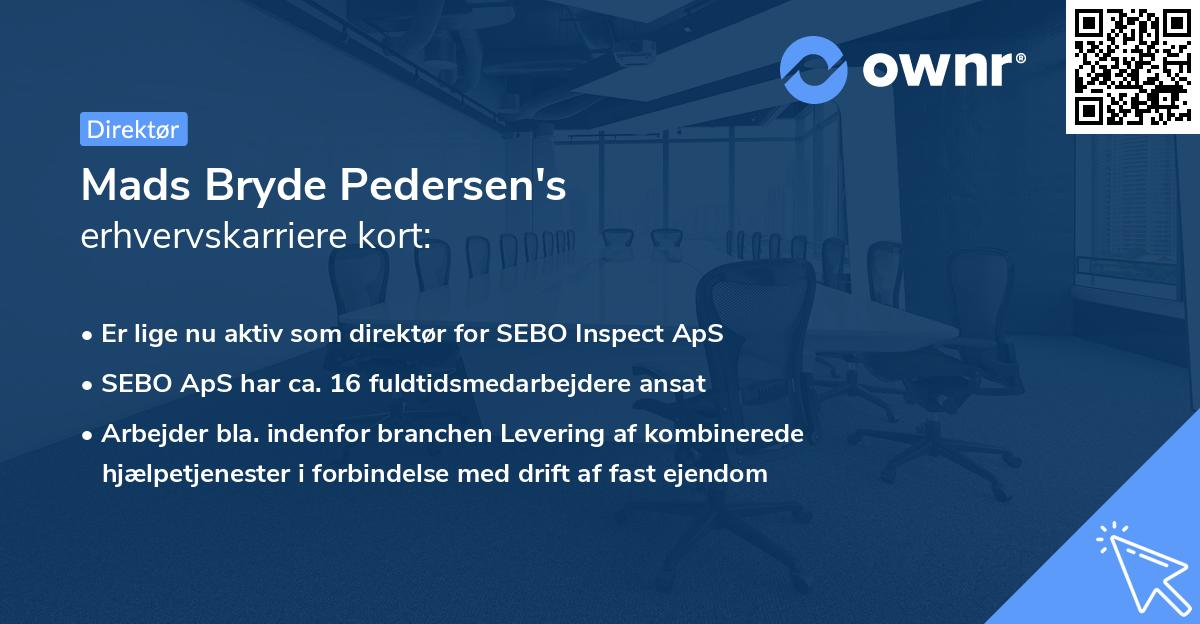 Mads Bryde Pedersen's erhvervskarriere kort