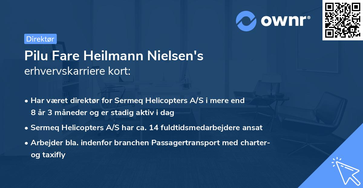 Pilu Fare Heilmann Nielsen's erhvervskarriere kort
