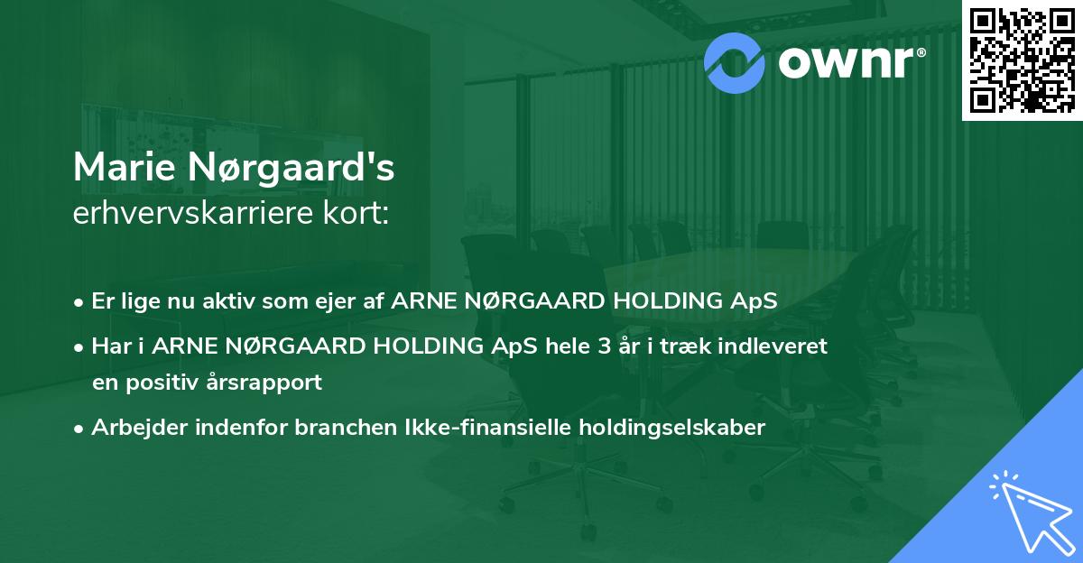 Marie Nørgaard's erhvervskarriere kort