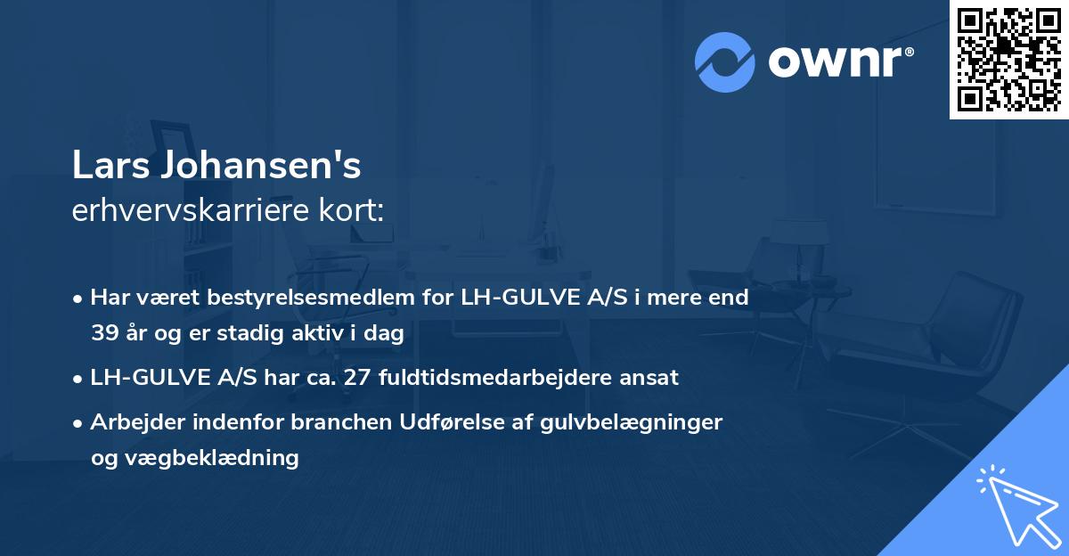 Lars Johansen's erhvervskarriere kort