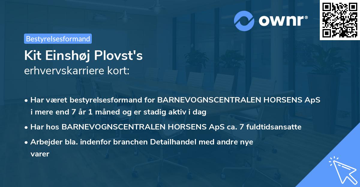 Kit Einshøj Plovst's erhvervskarriere kort