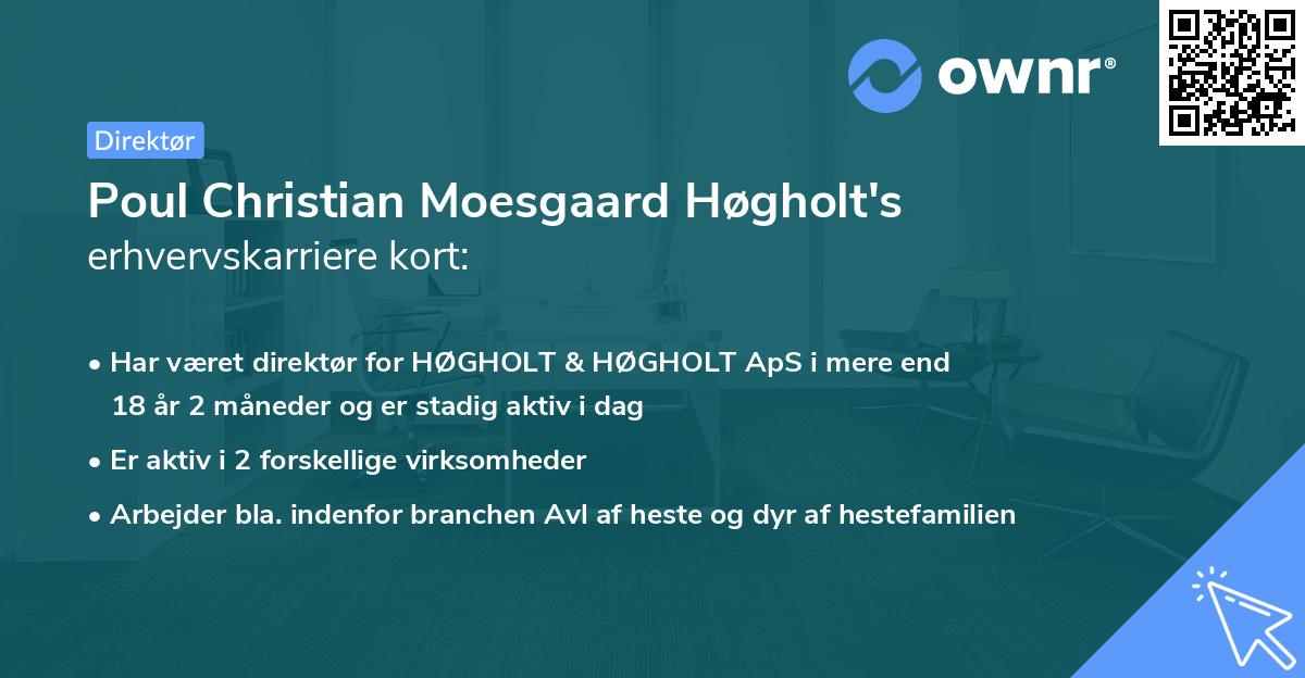 Poul Christian Moesgaard Høgholt's erhvervskarriere kort