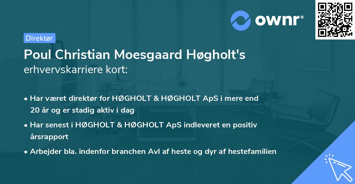 Poul Christian Moesgaard Høgholt's erhvervskarriere kort