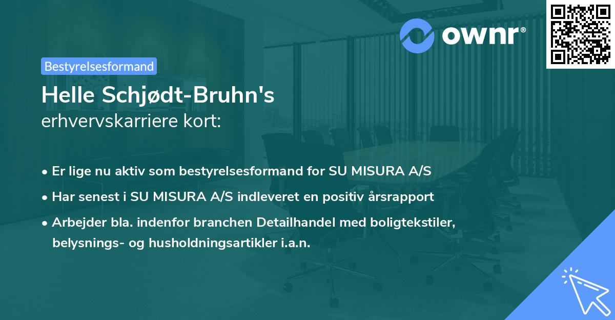 Helle Schjødt-Bruhn's erhvervskarriere kort