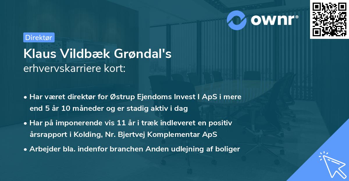 Klaus Vildbæk Grøndal's erhvervskarriere kort