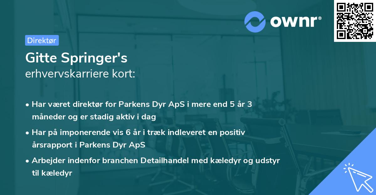 Gitte Springer's erhvervskarriere kort