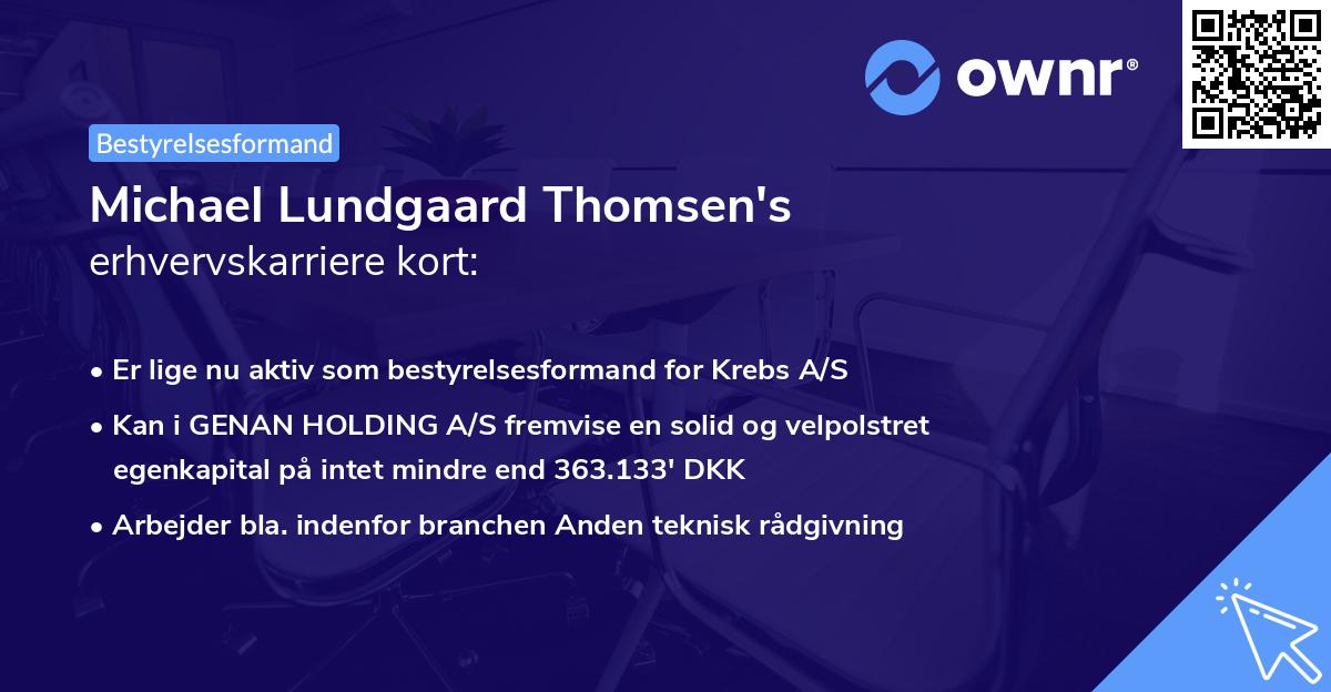 Michael Lundgaard Thomsen's erhvervskarriere kort