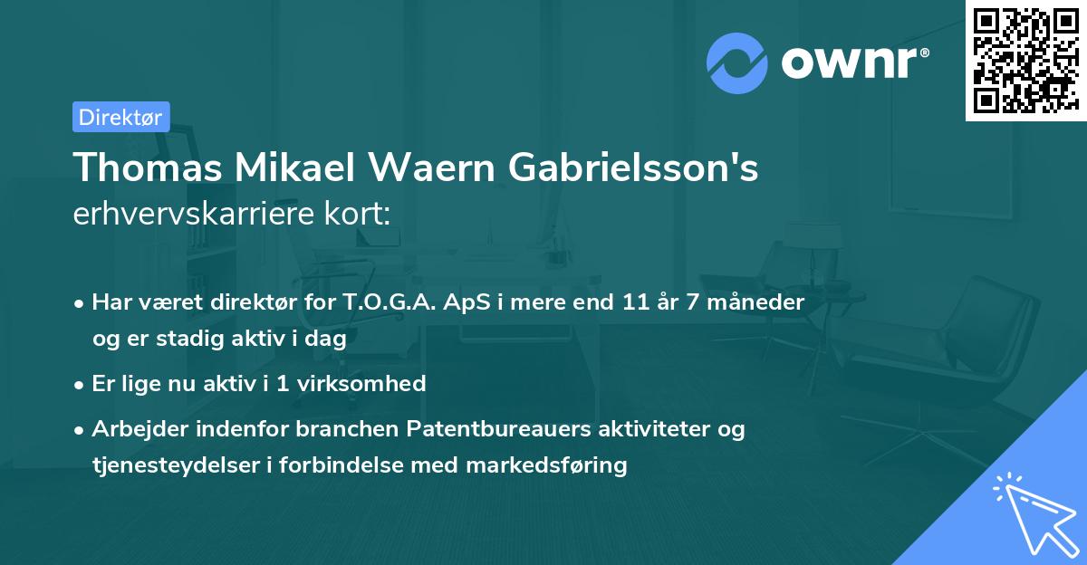 Thomas Mikael Waern Gabrielsson's erhvervskarriere kort