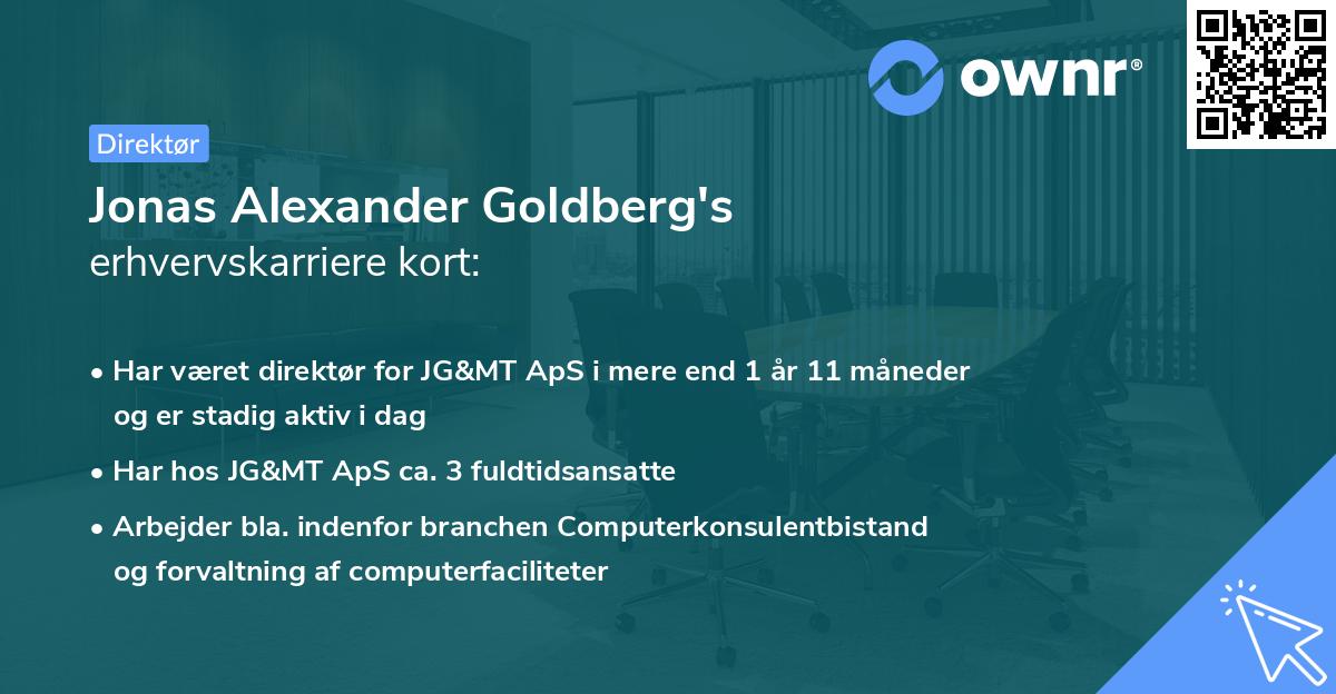Jonas Alexander Goldberg's erhvervskarriere kort