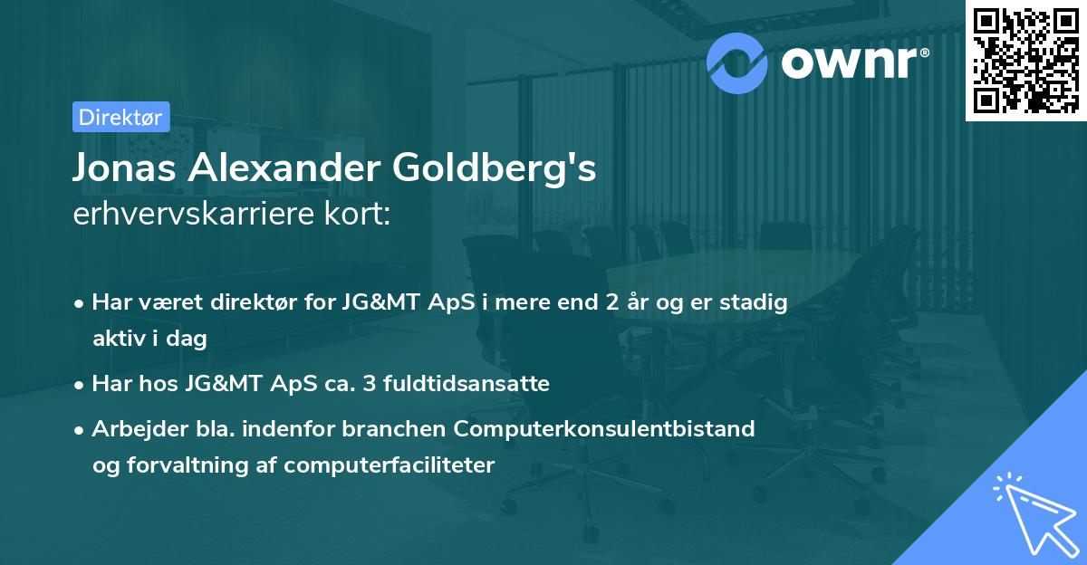 Jonas Alexander Goldberg's erhvervskarriere kort