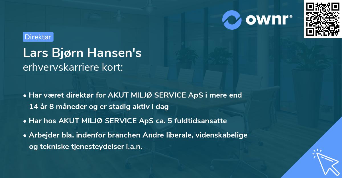 Lars Bjørn Hansen's erhvervskarriere kort