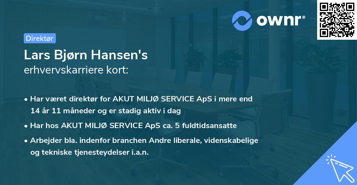 Lars Bjørn Hansen's erhvervskarriere kort