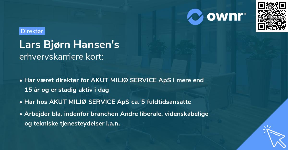 Lars Bjørn Hansen's erhvervskarriere kort
