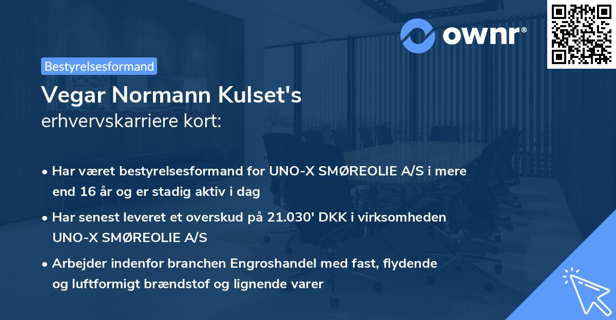 Vegar Normann Kulset's erhvervskarriere kort