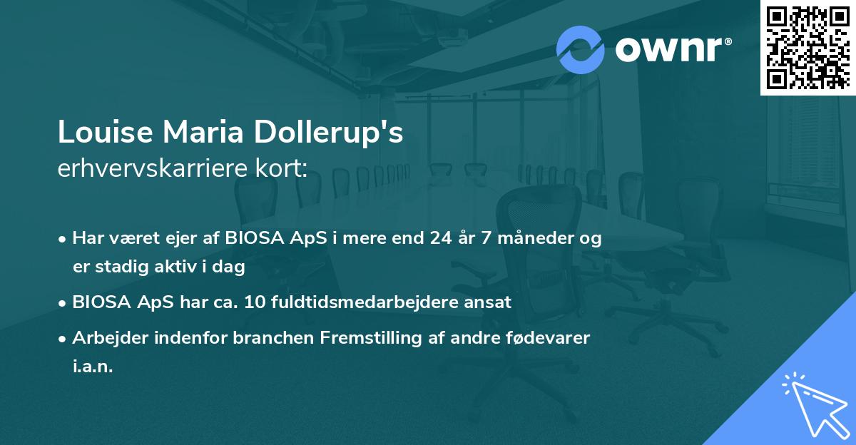 Louise Maria Dollerup's erhvervskarriere kort