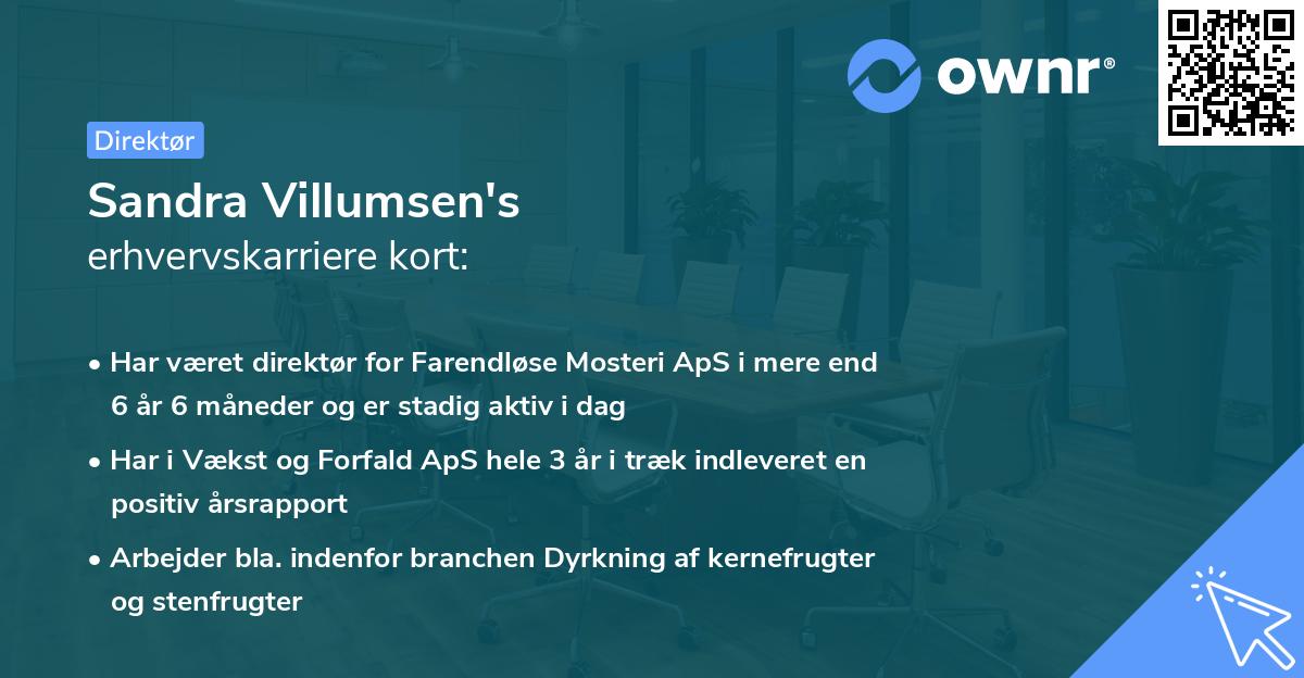 Sandra Villumsen's erhvervskarriere kort
