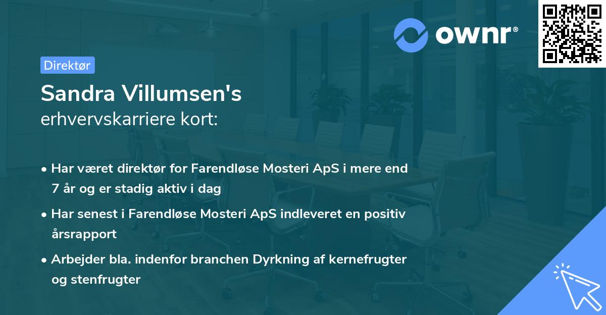 Sandra Villumsen's erhvervskarriere kort