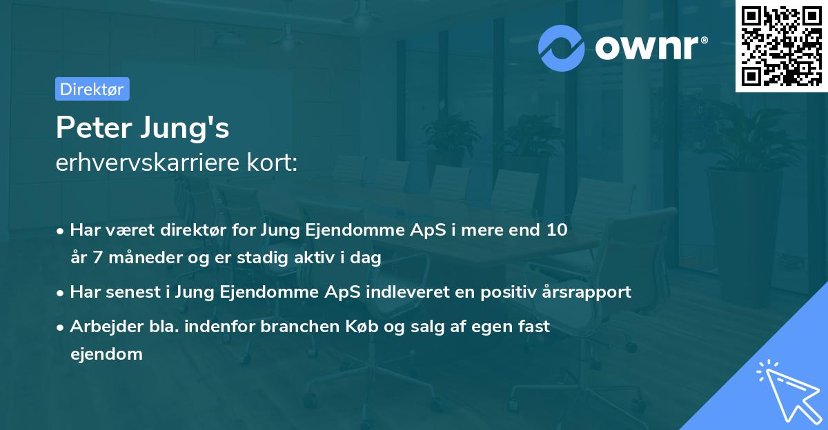 Peter Jung's erhvervskarriere kort