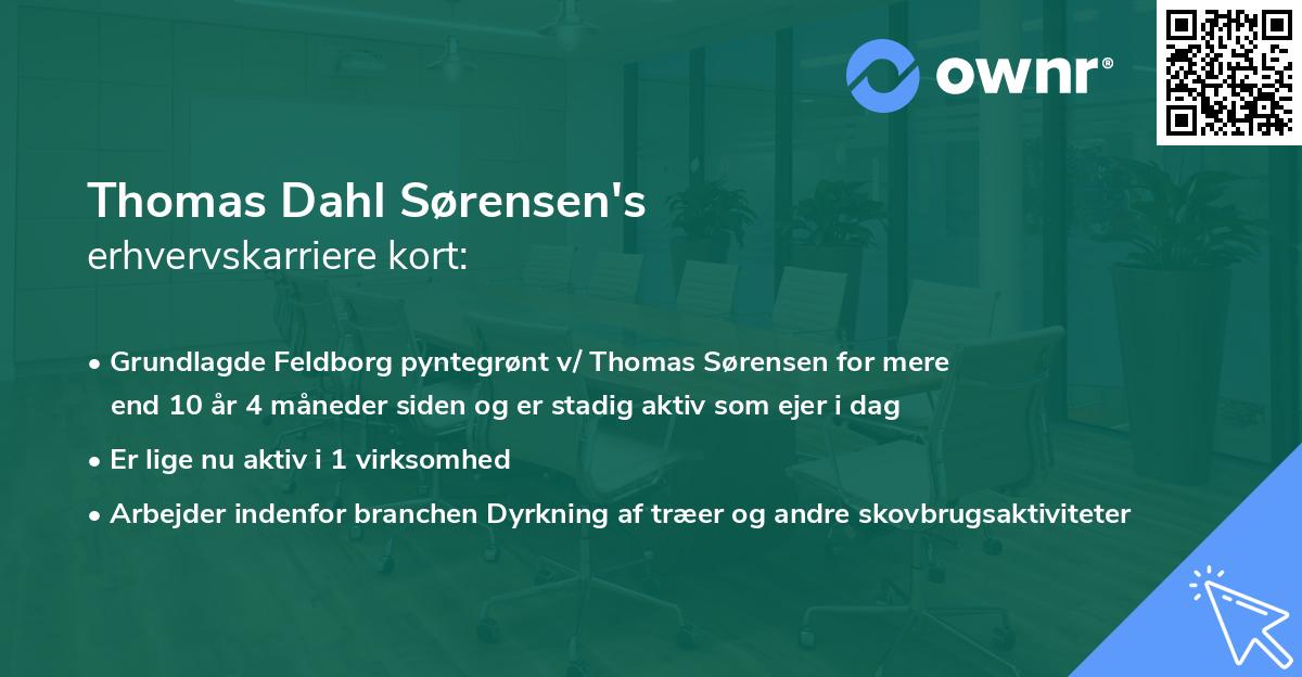 Thomas Dahl Sørensen's erhvervskarriere kort