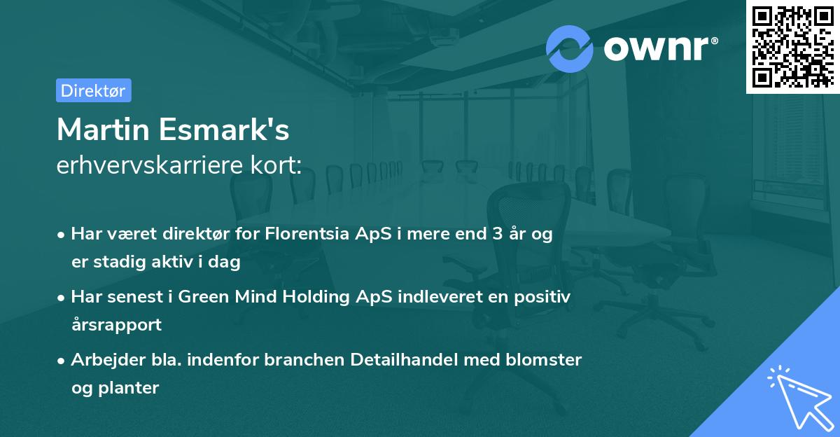 Martin Esmark's erhvervskarriere kort