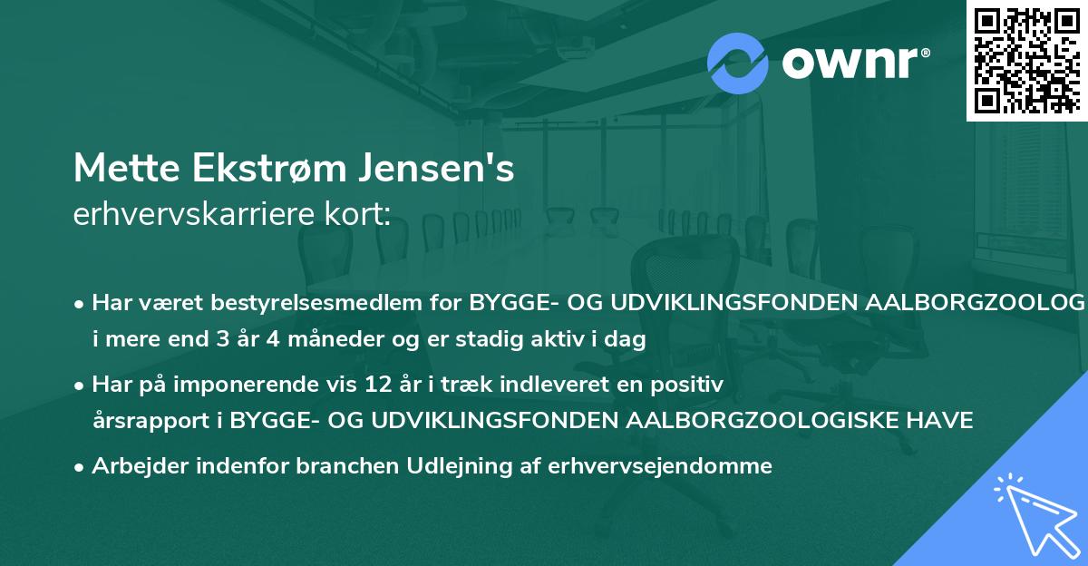 Mette Ekstrøm Jensen's erhvervskarriere kort