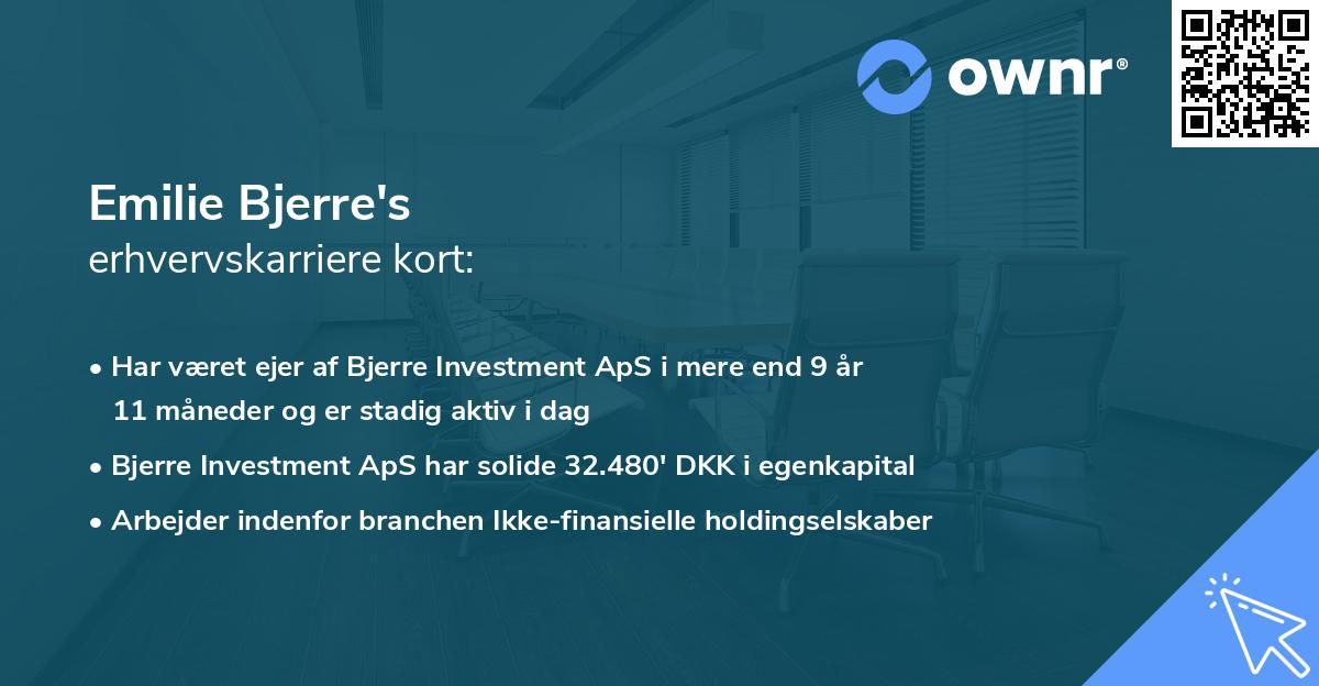 Emilie Bjerre's erhvervskarriere kort