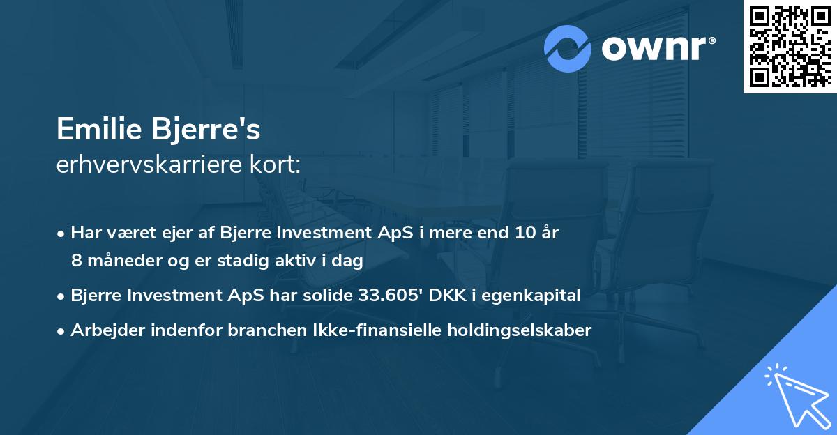 Emilie Bjerre's erhvervskarriere kort