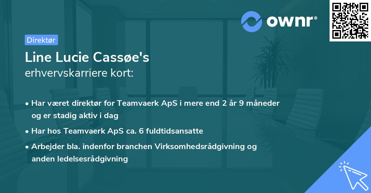 Line Lucie Cassøe's erhvervskarriere kort
