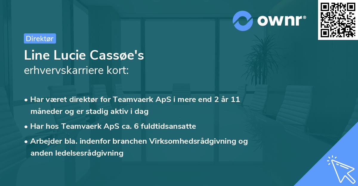 Line Lucie Cassøe's erhvervskarriere kort
