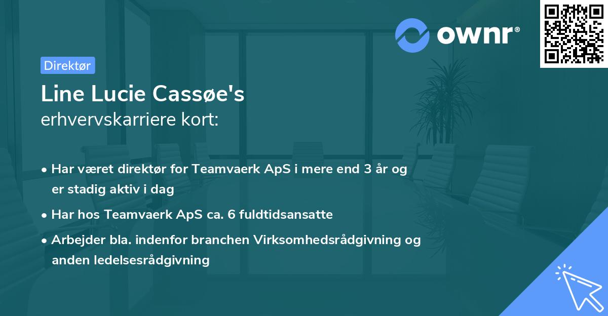 Line Lucie Cassøe's erhvervskarriere kort