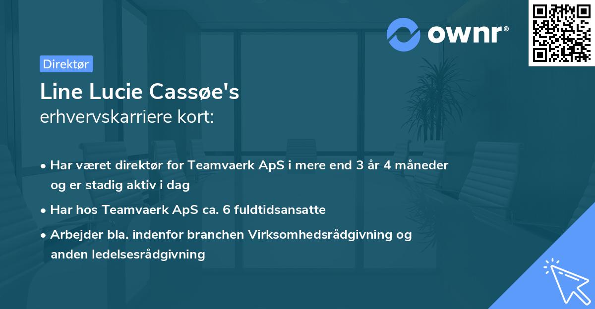 Line Lucie Cassøe's erhvervskarriere kort
