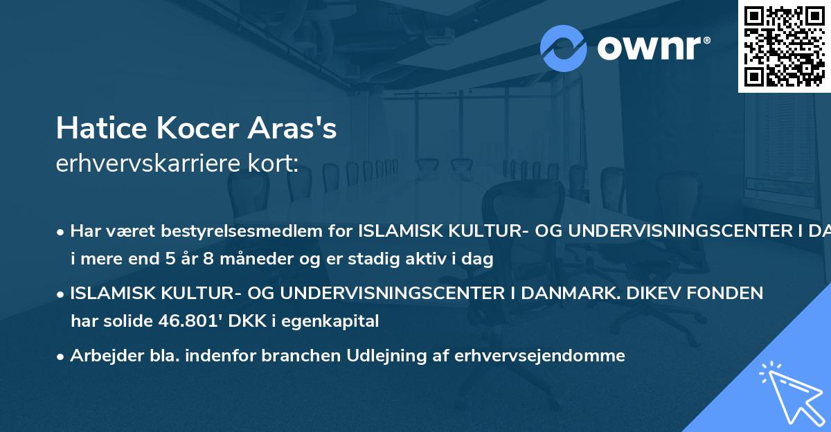 Hatice Kocer Aras's erhvervskarriere kort