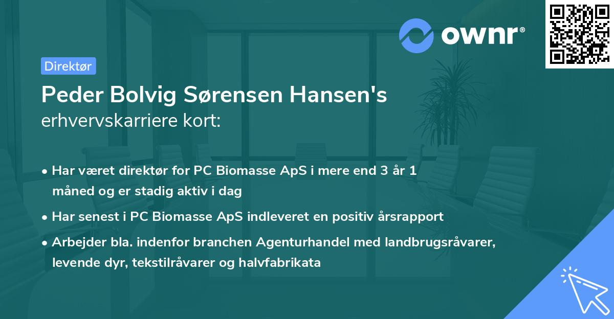 Peder Bolvig Sørensen Hansen's erhvervskarriere kort