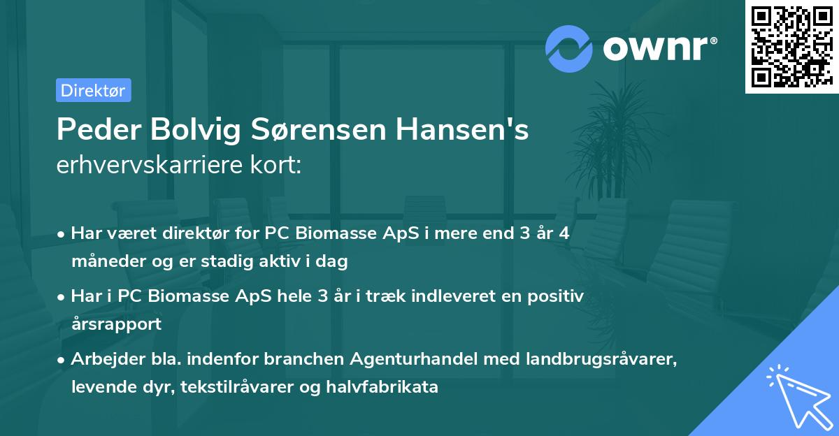 Peder Bolvig Sørensen Hansen's erhvervskarriere kort