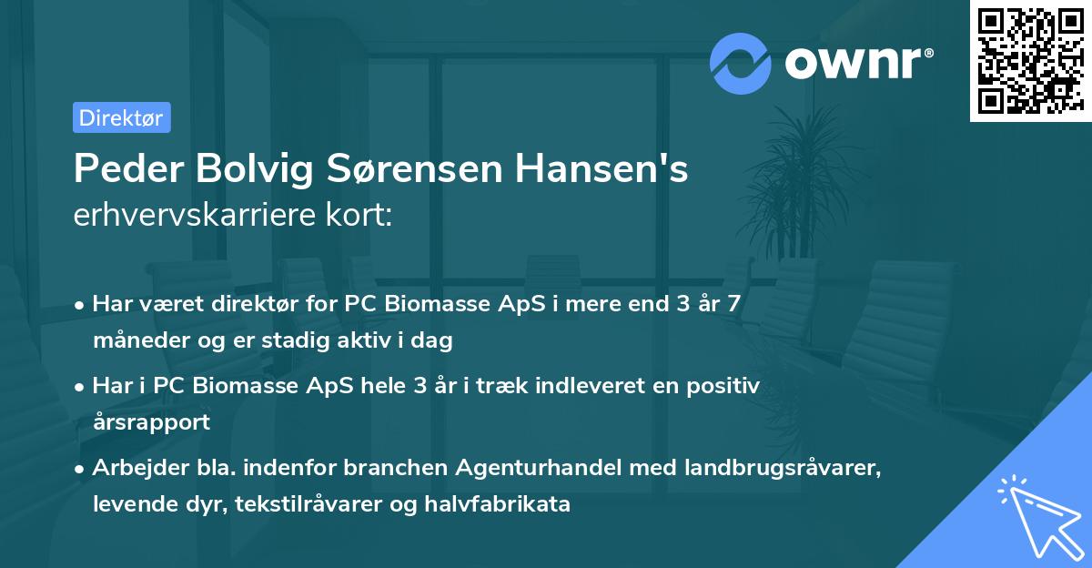Peder Bolvig Sørensen Hansen's erhvervskarriere kort