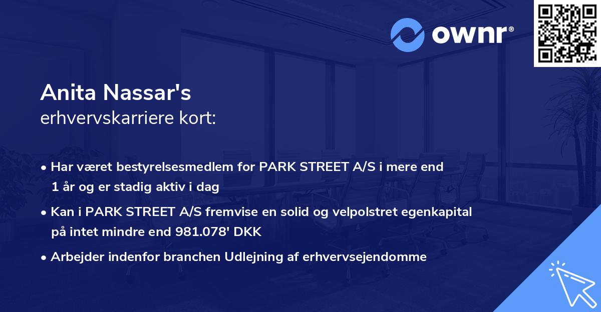 Anita Nassar's erhvervskarriere kort