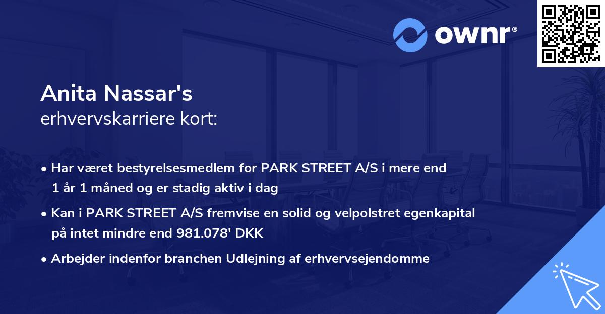 Anita Nassar's erhvervskarriere kort