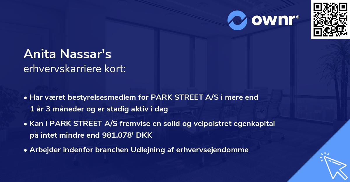 Anita Nassar's erhvervskarriere kort
